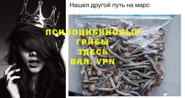 ПСИЛОЦИБИНОВЫЕ ГРИБЫ Кинешма