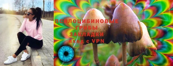ПСИЛОЦИБИНОВЫЕ ГРИБЫ Кинешма