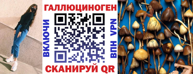 Галлюциногенные грибы Psilocybe  Купить где  Реж 